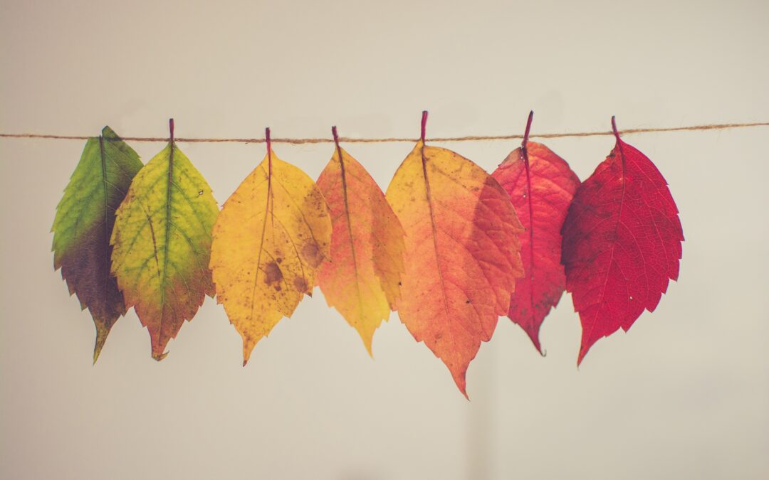 Five PR Tips For Fall